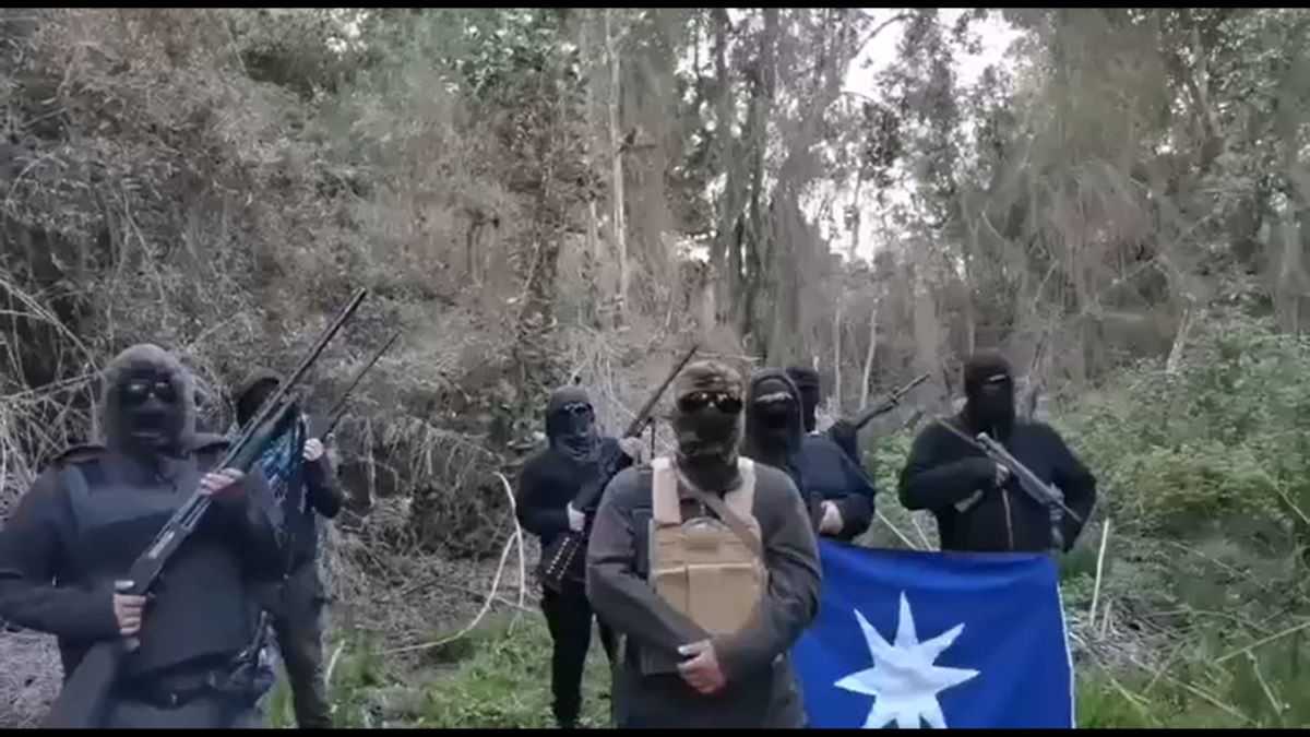 Ocupacion seudomapuche