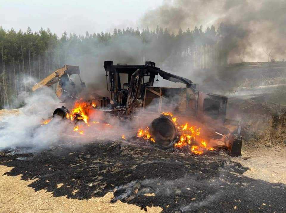Ataque incendiario Fresia