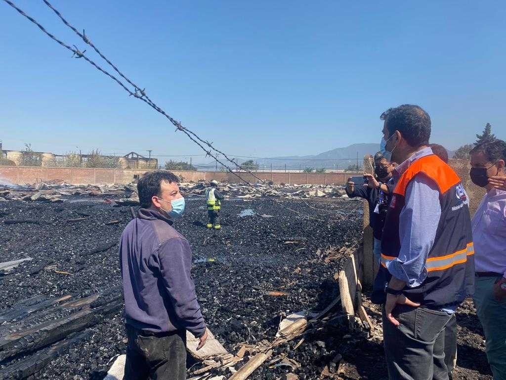 WhatsApp Image 2022-02-19 at 12.31.14