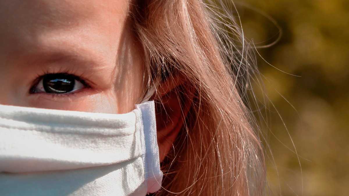 archivo infogate web-2-42