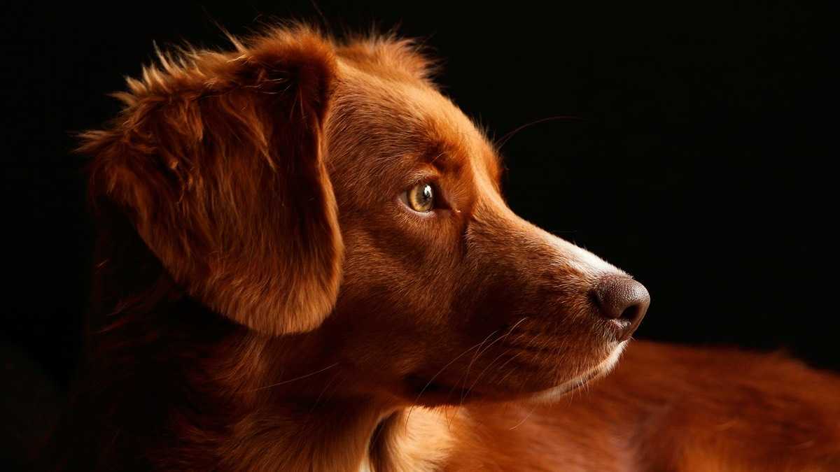 archivo infogate web-37