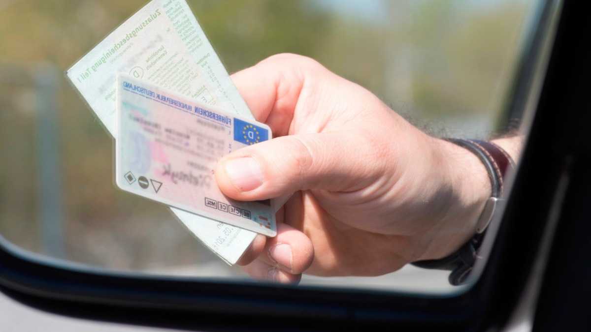 archivo infogate web-5-10