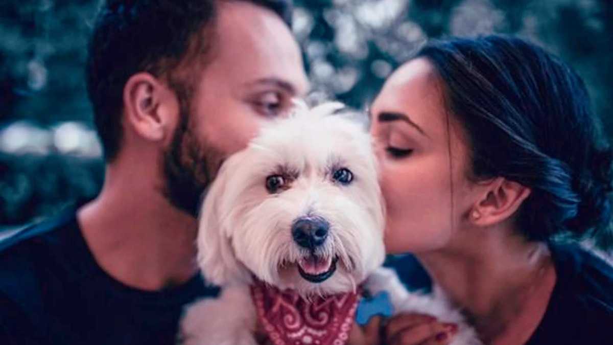 archivo infogate web-5-21