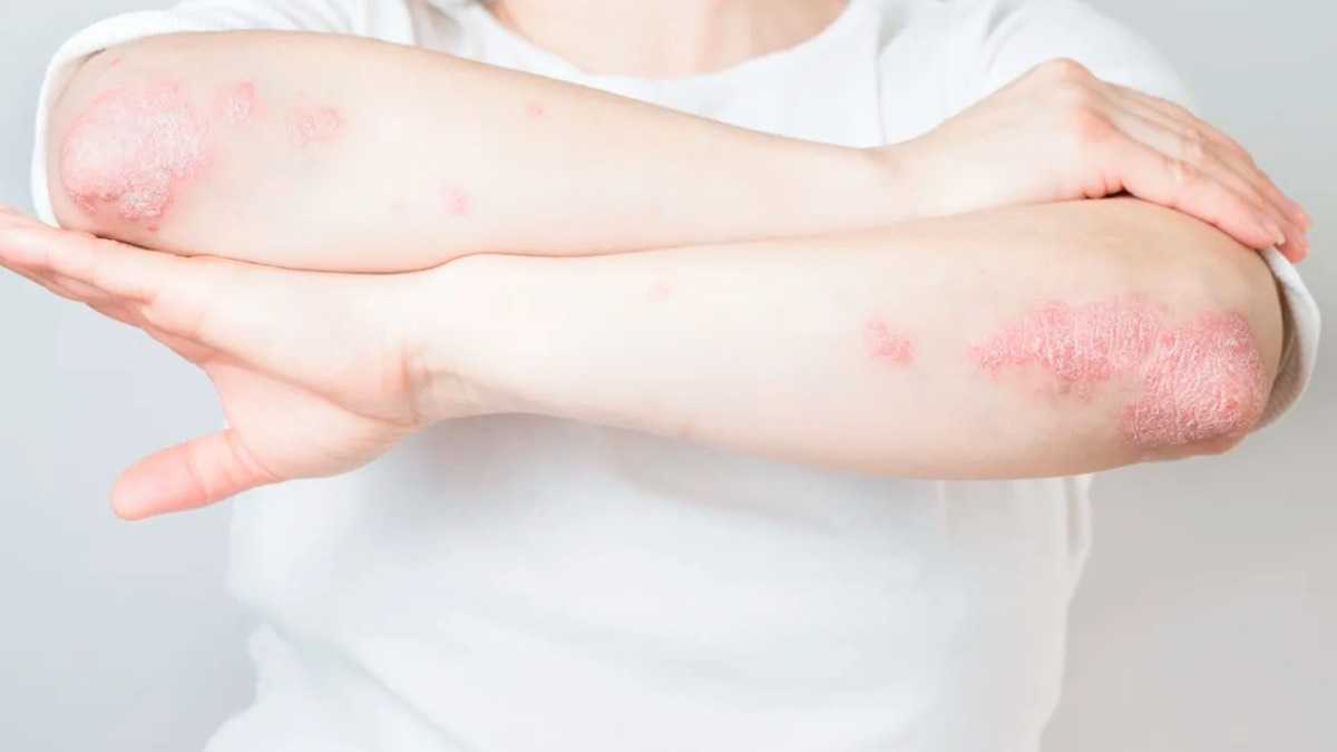 archivo infogate web-5-9