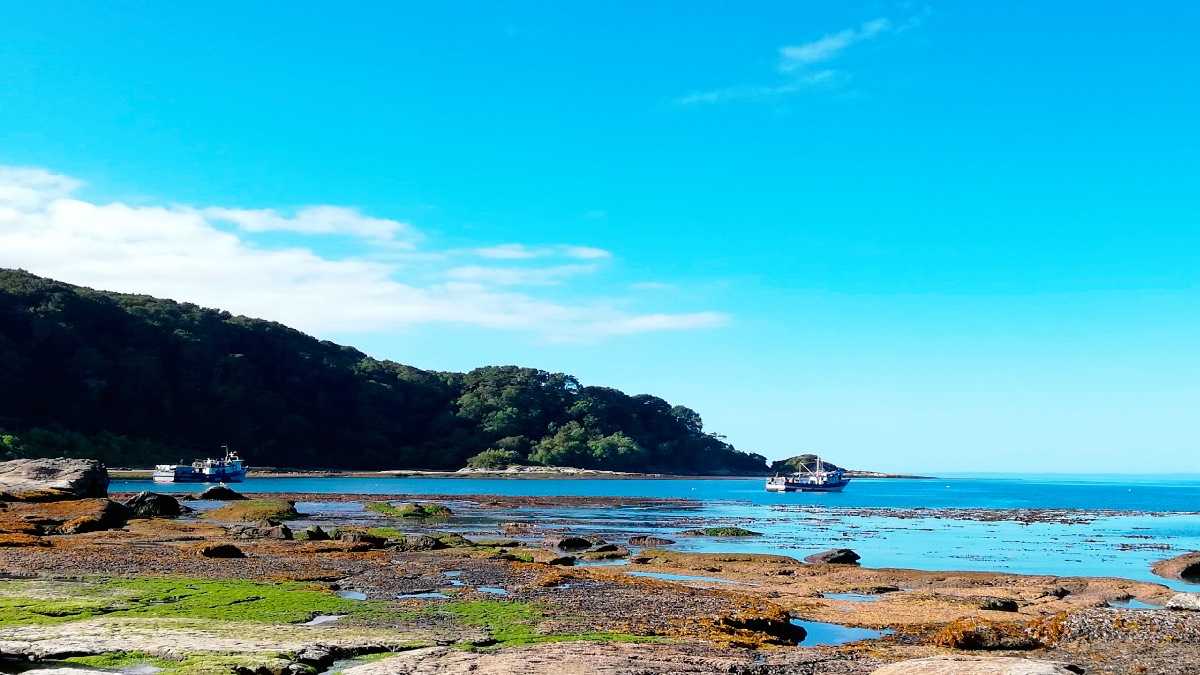 archivo infogate web-6