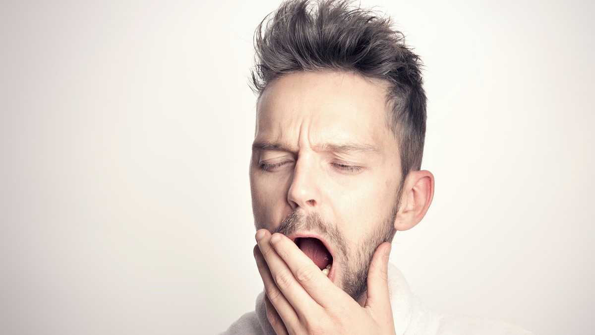 archivo infogate web-2-28