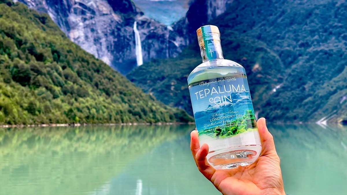 archivo infogate web-2-31