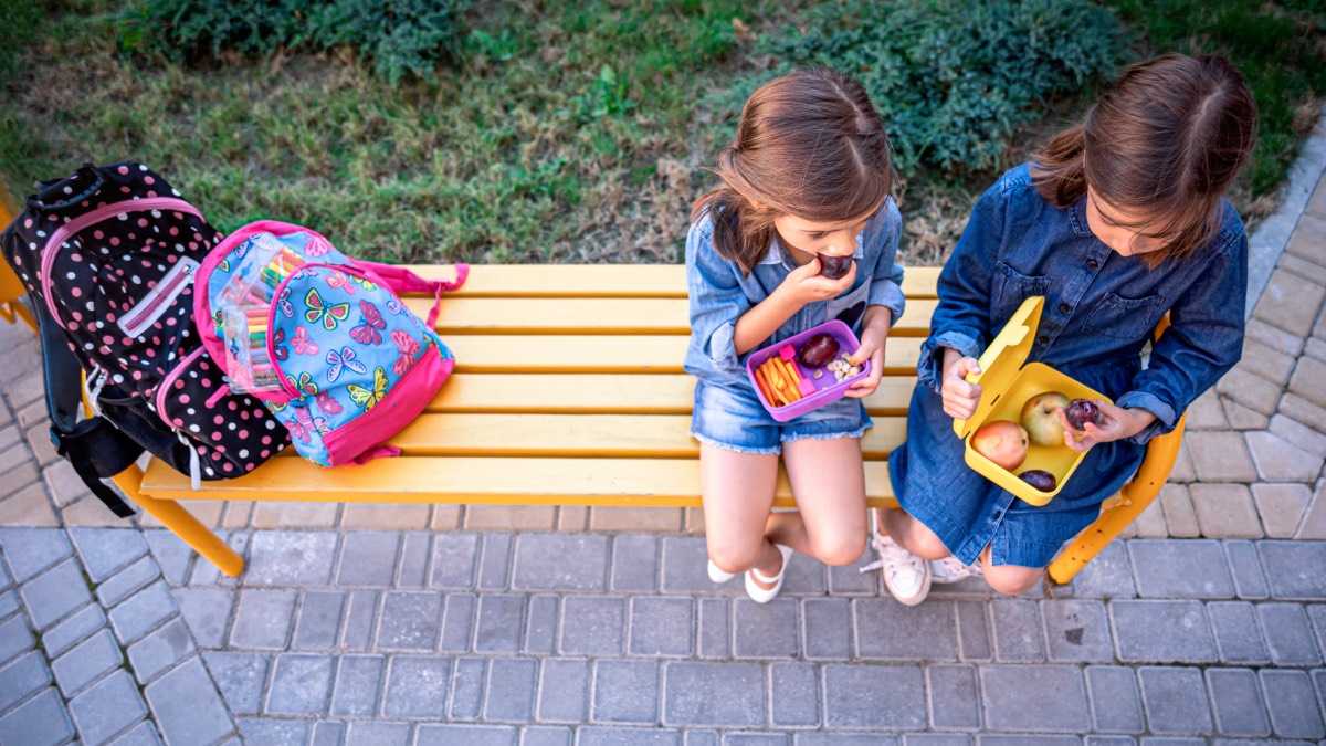 archivo infogate web-2-6