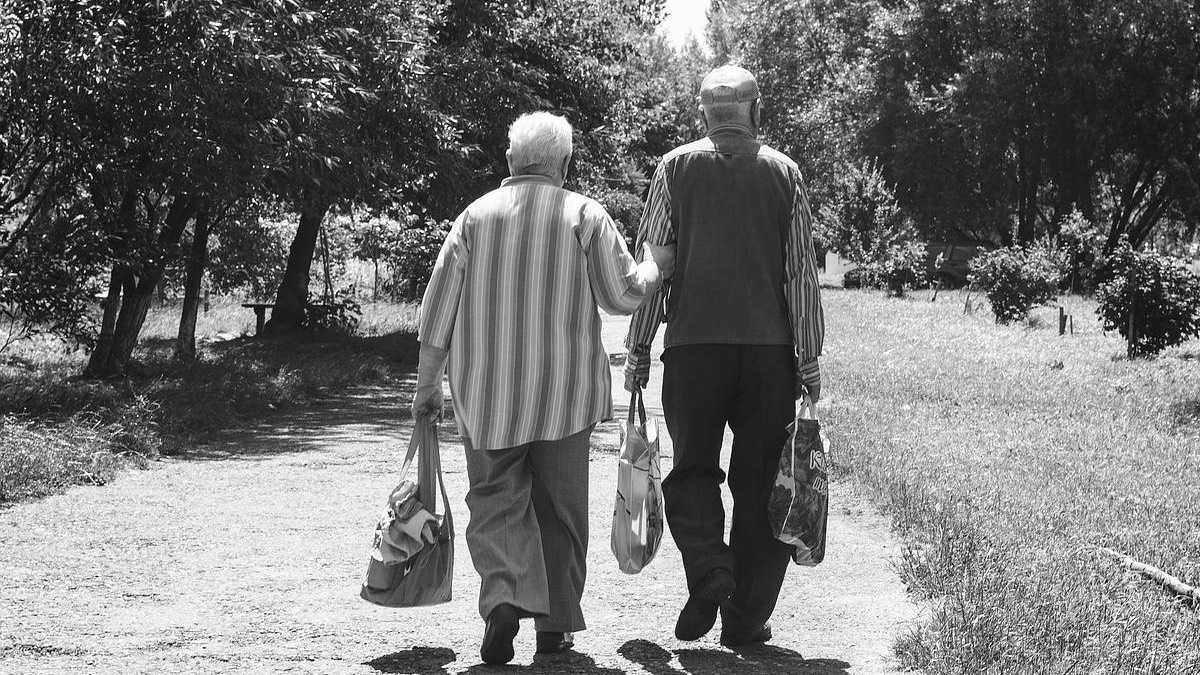 archivo infogate web-2-9