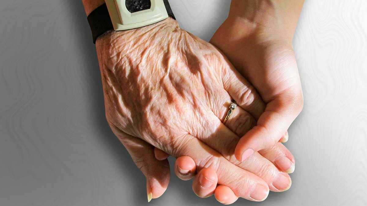 archivo infogate web-5-2-6