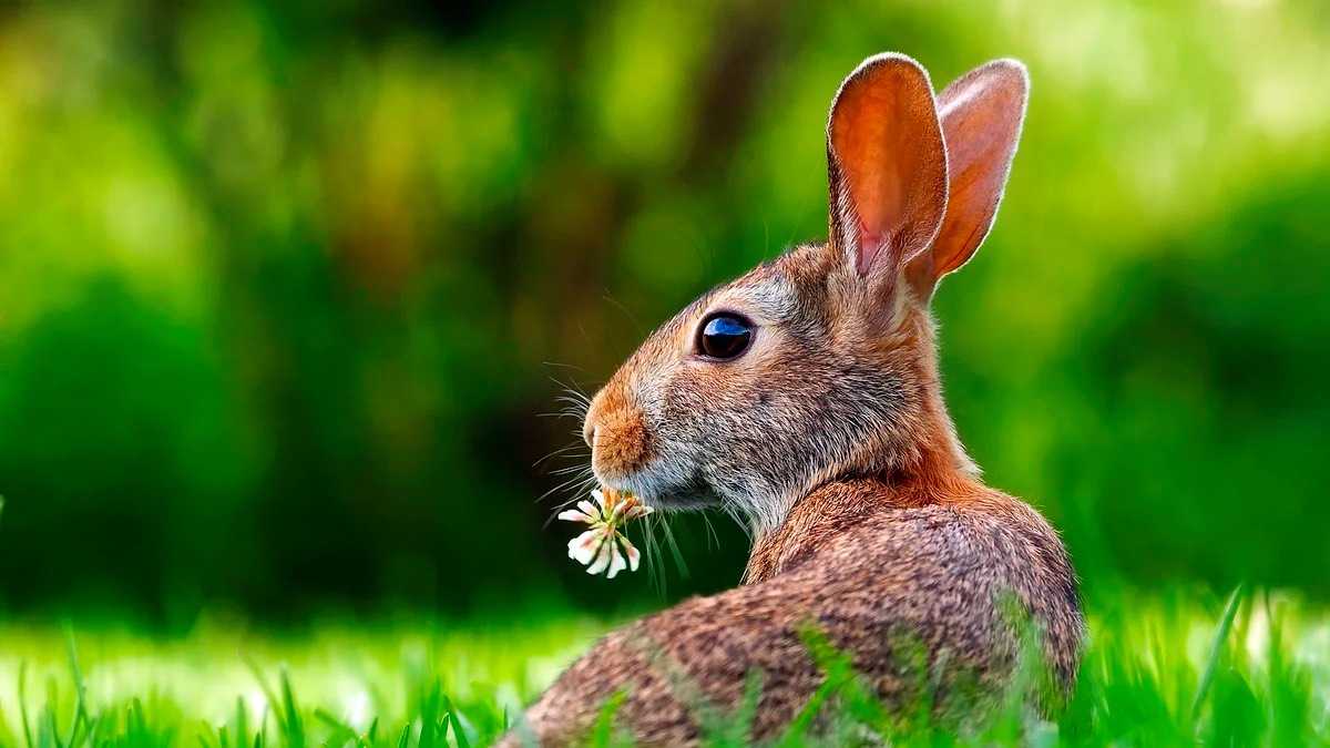 archivo infogate web-5-3