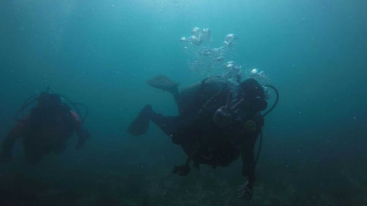 emprendimiento040702