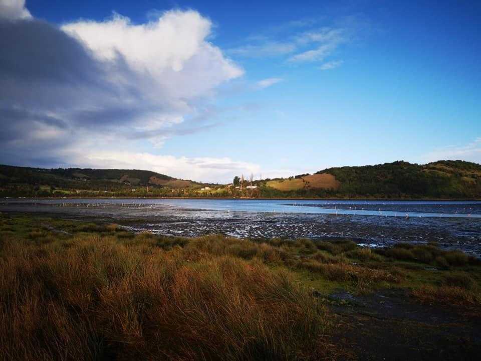 humedalchiloe