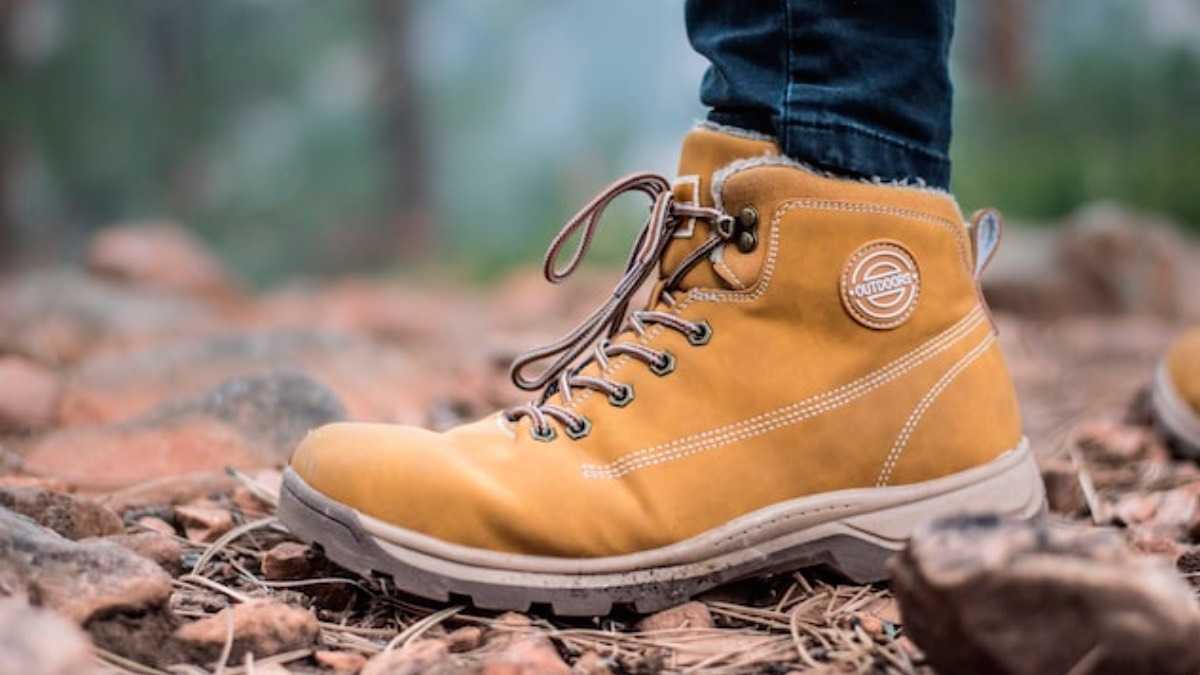 archivo infogate web-2-5