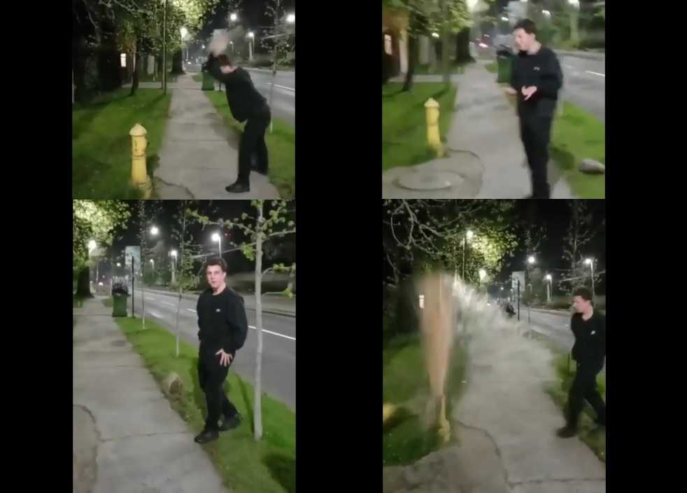 humanoiderompegrifo3octubre