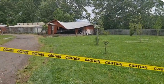 Opera Captura de pantalla_2022-11-13_154601_twitter.com