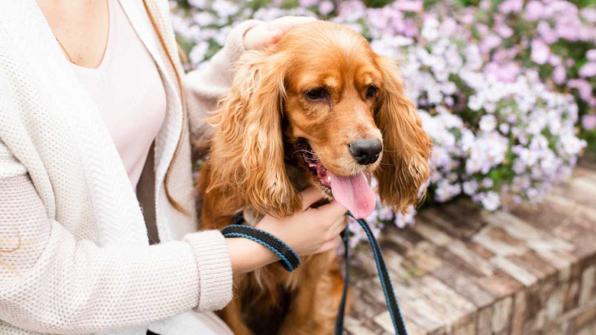 archivo infogate web-2-3