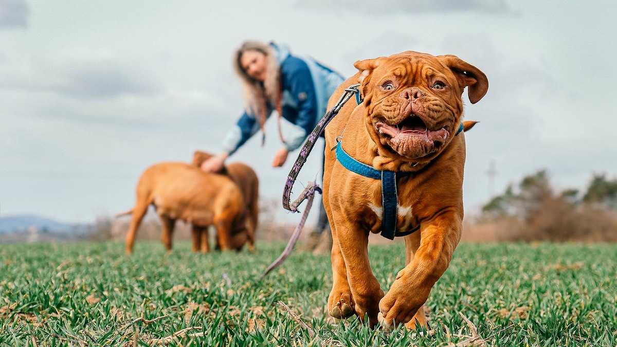 archivo infogate web-5-19