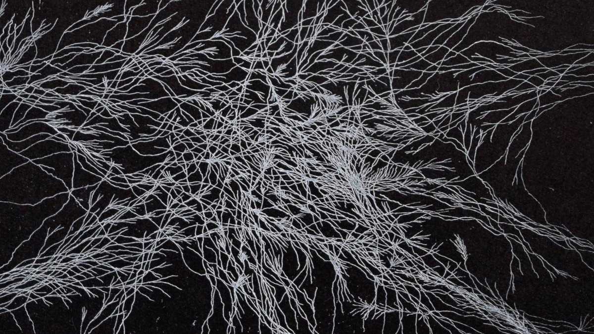 archivo infogate web-5-2-15