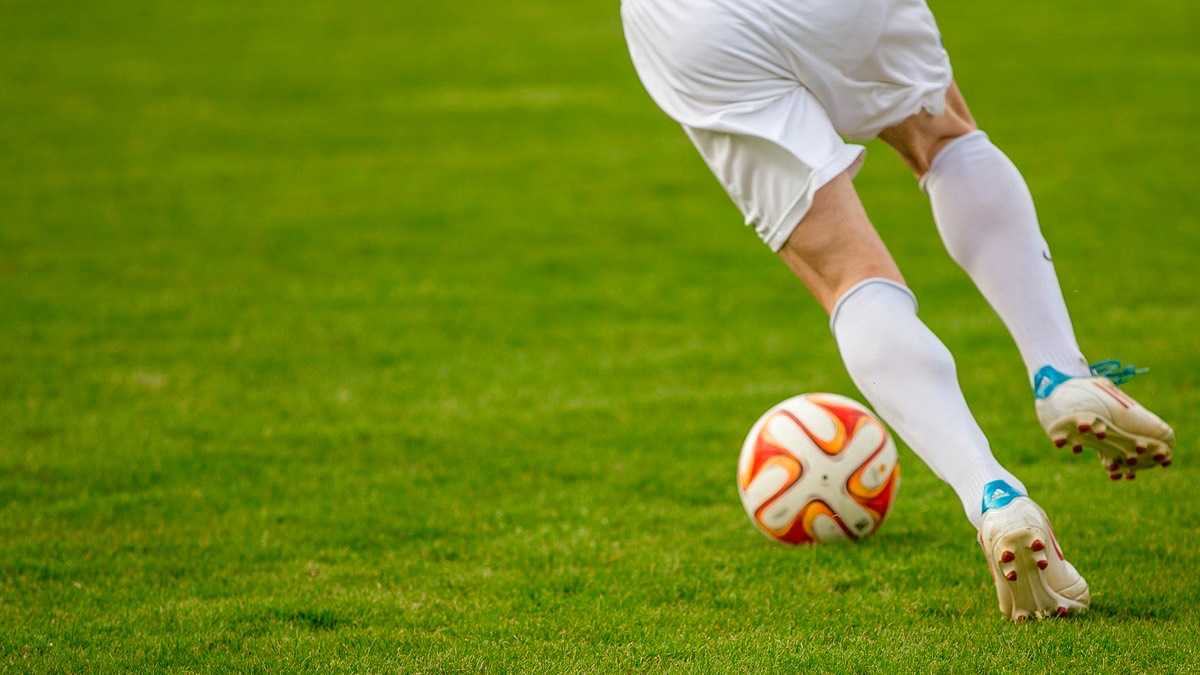 archivo infogate web-5-4