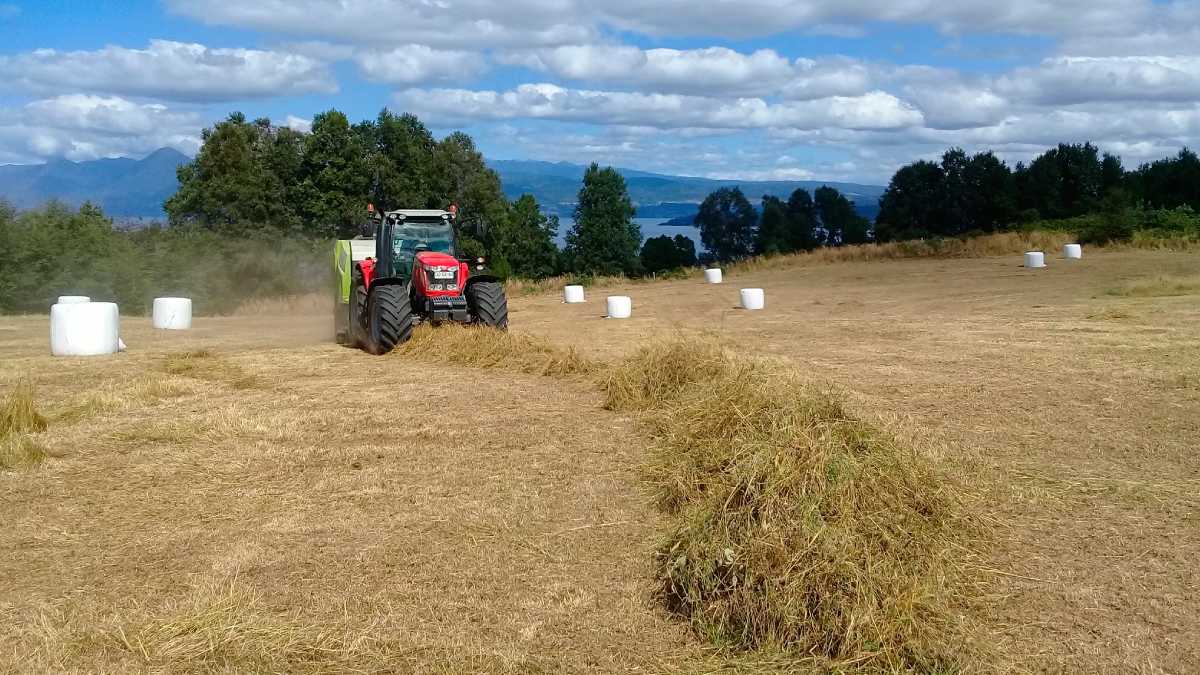 archivo infogate web-5-2-10