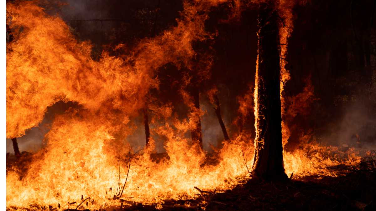 archivo infogate web-5-2-13