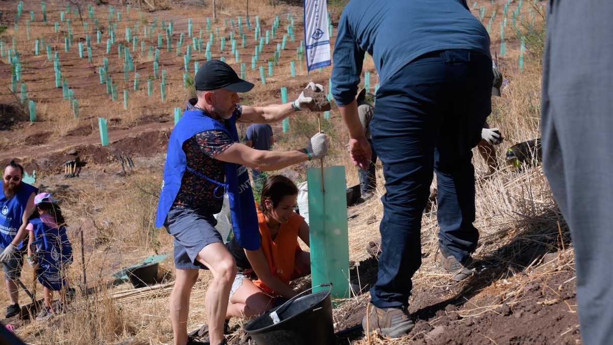 archivo infogate web-5-2-18