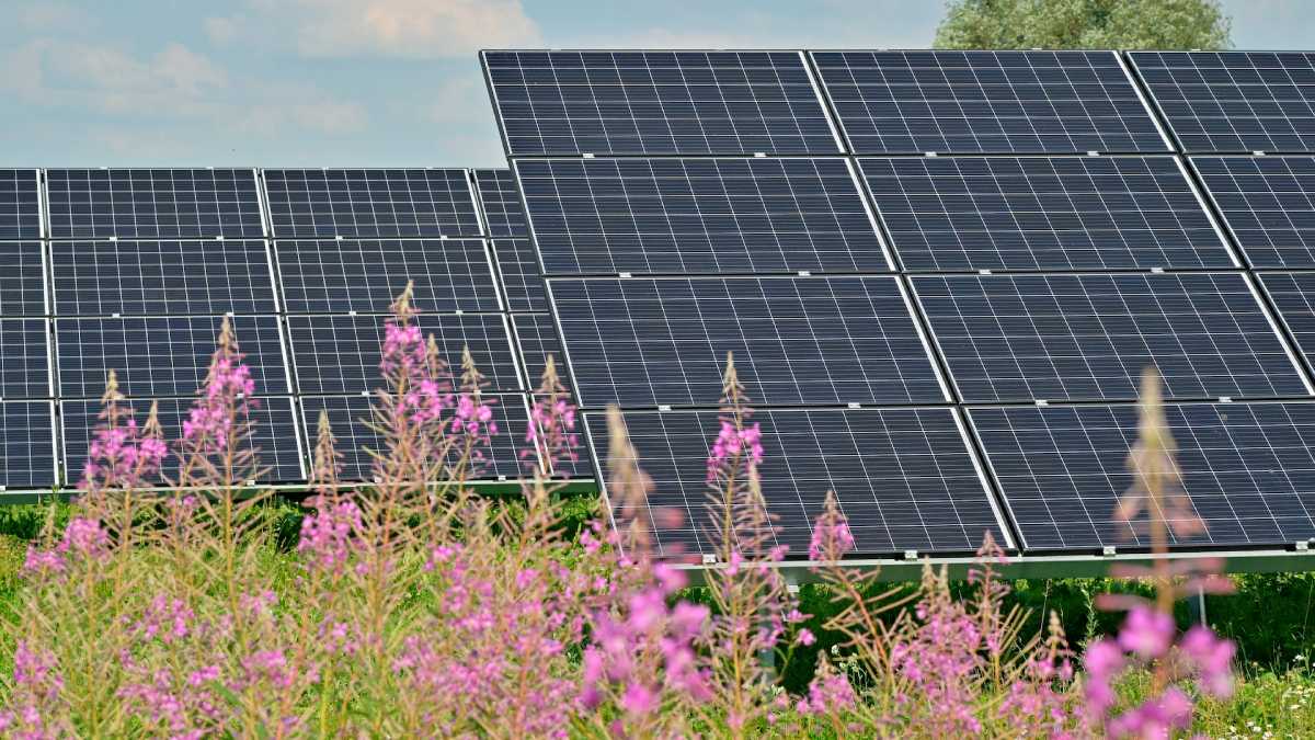 archivo infogate web-5-2-28