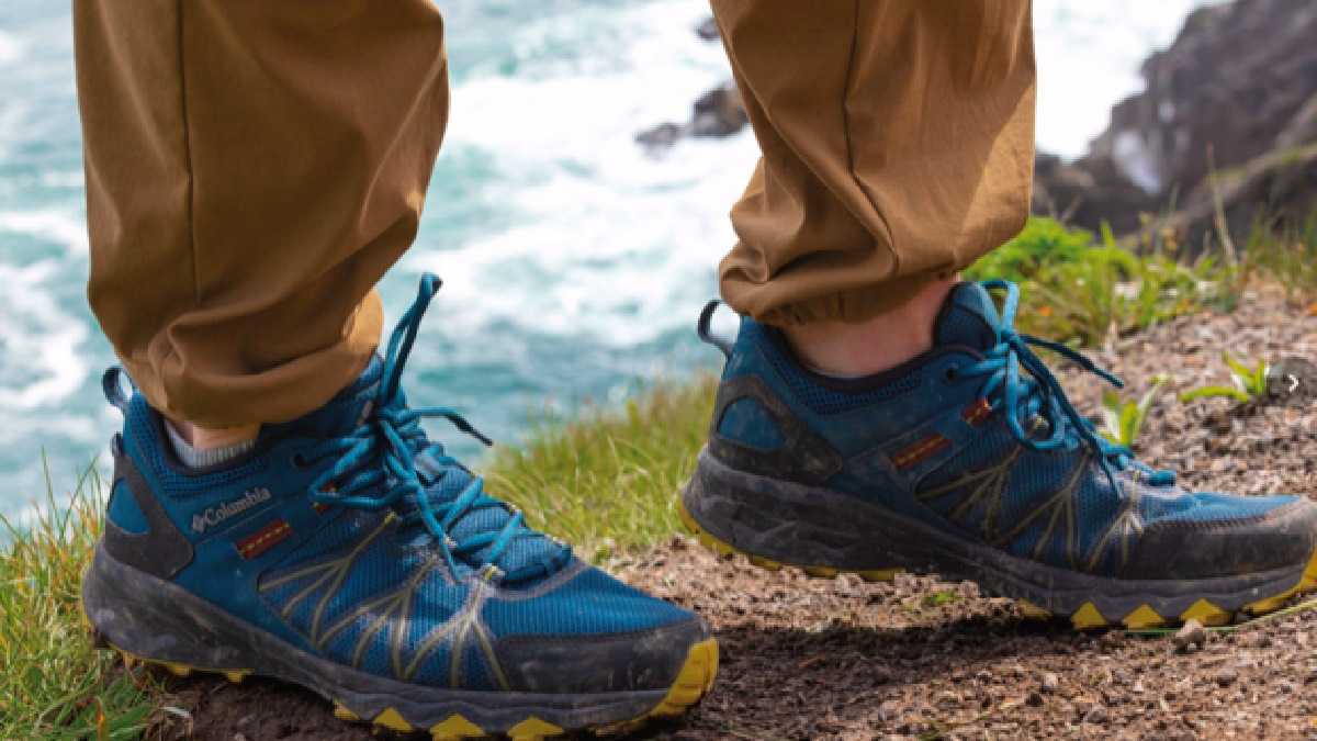 archivo infogate web-5-2-52