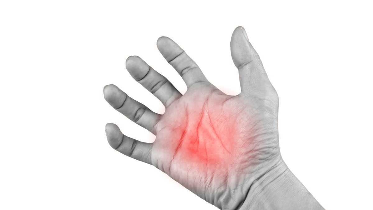 archivo infogate web-5-2-8