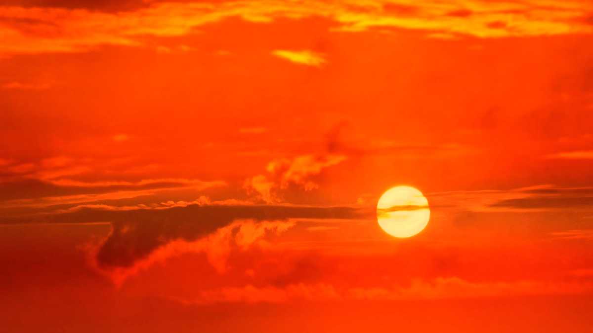 archivo infogate web-5-2-8