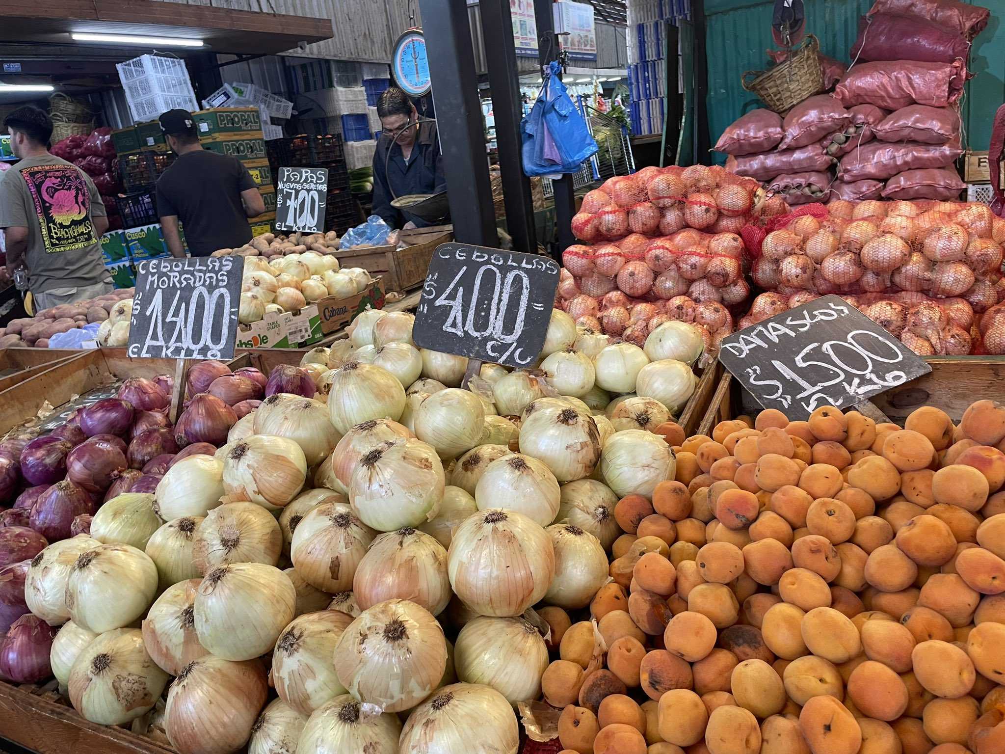 precios cebollas vegacentral23diciembre22