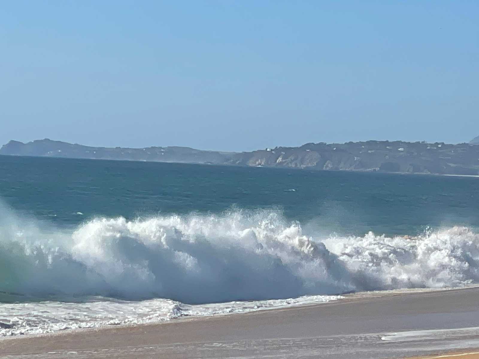 WhatsApp Image 2023-01-20 at 19.06.54