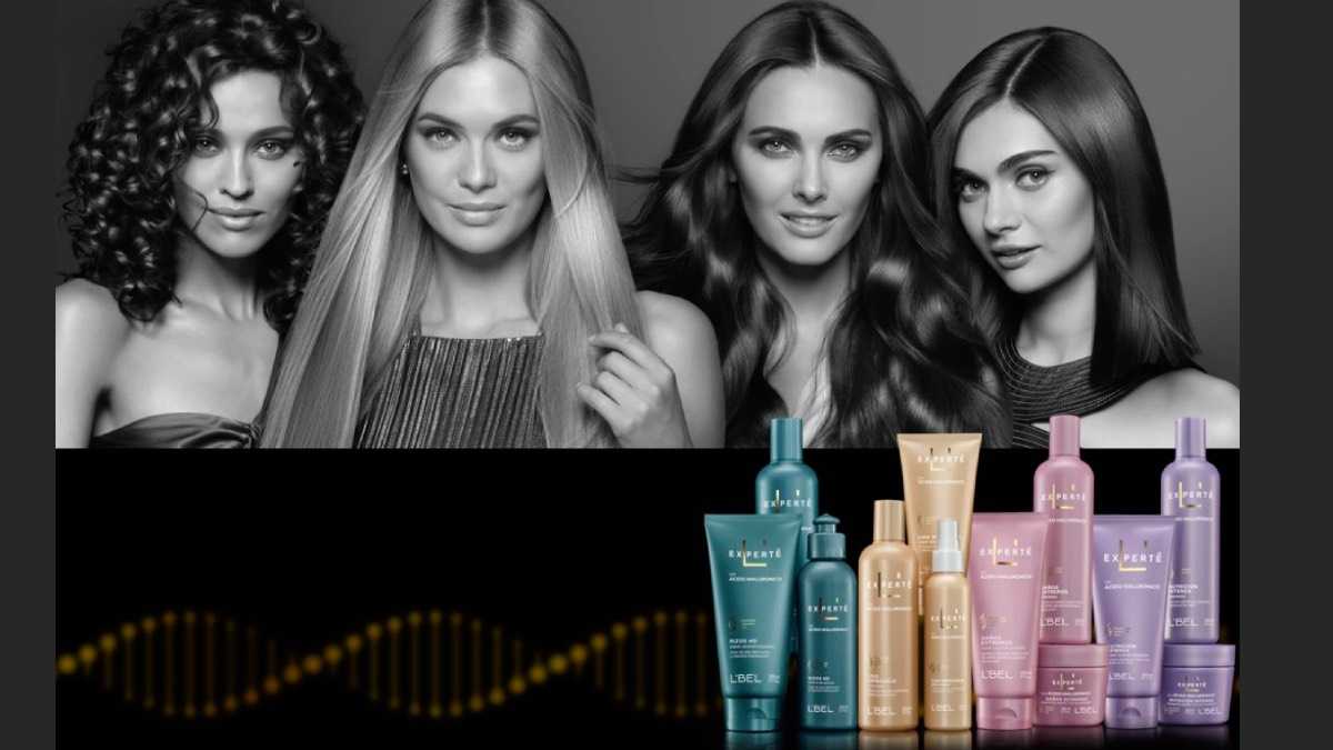 archivo infogate web-5-2-19