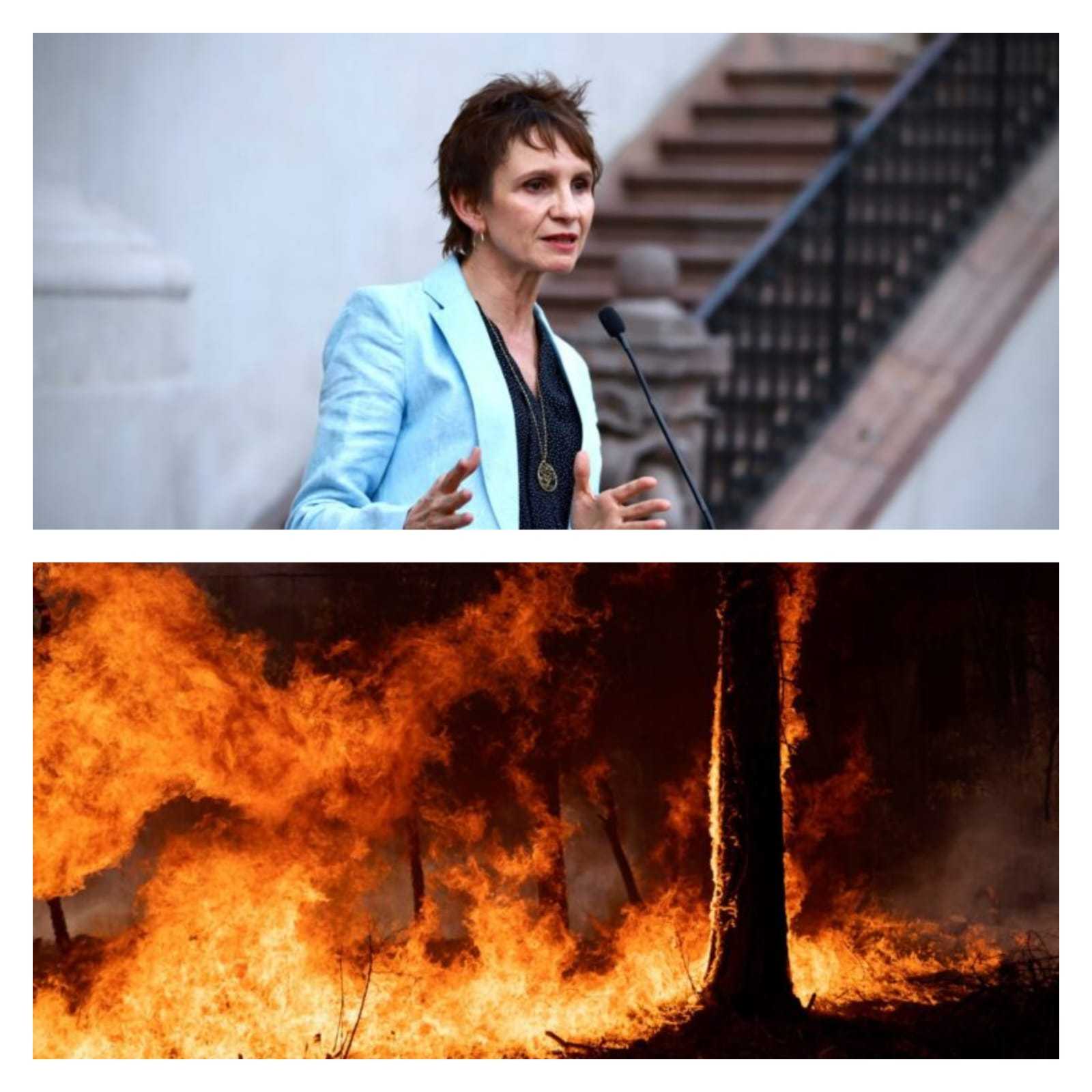 WhatsApp-Image-2023-02-08-at-2.40.31-PM