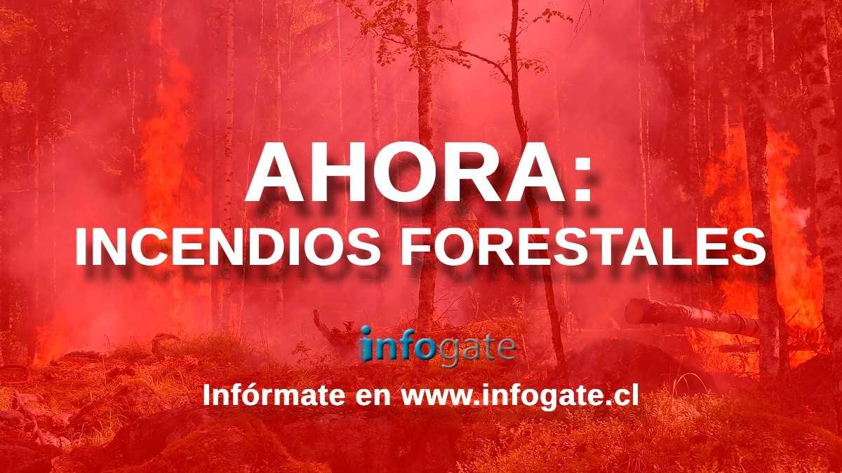 ahoraincendiosforestalesinfogate3febrero23