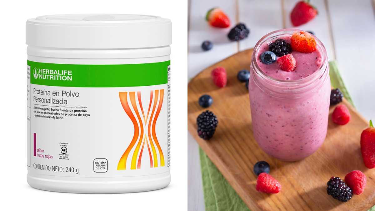 archivo infogate web-5-2-115