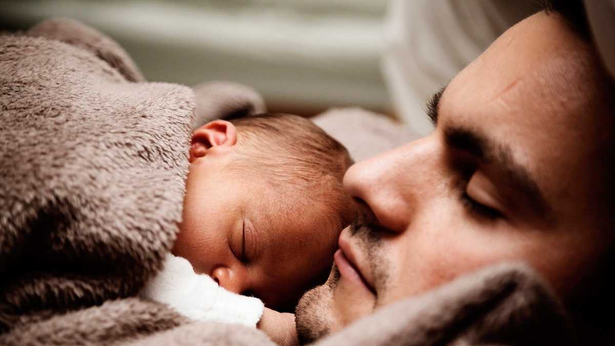 archivo infogate web-5-2-138