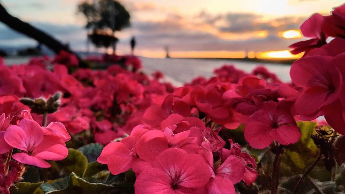 archivo infogate web-5-2-14