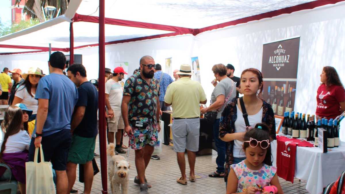 archivo infogate web-5-2-172