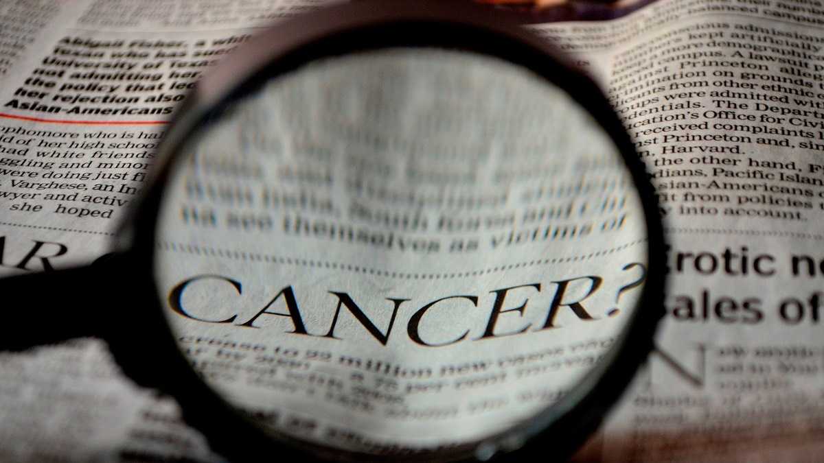 archivo infogate web-5-2-29