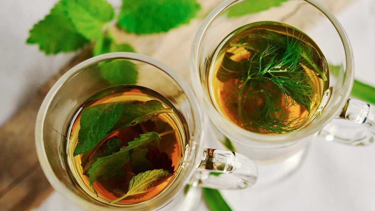 archivo infogate web-5-2-31