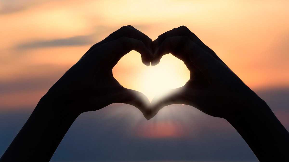 archivo infogate web-5-2-35