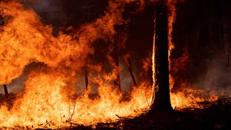 archivo-infogate-web-5-2-6-768x432-1