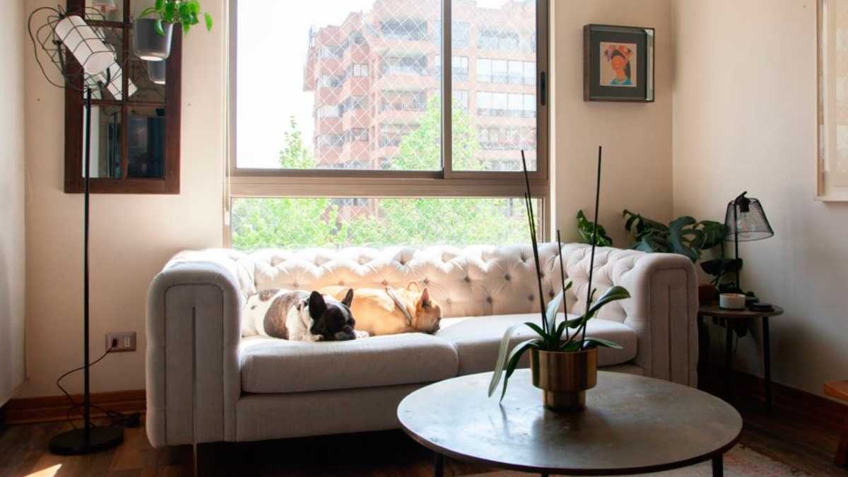 archivo infogate web-5-2-7