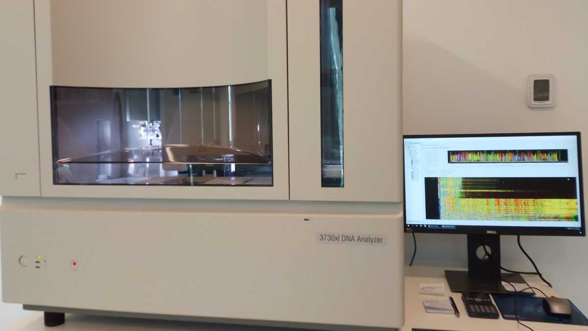 archivo infogate web-5-2-23-82