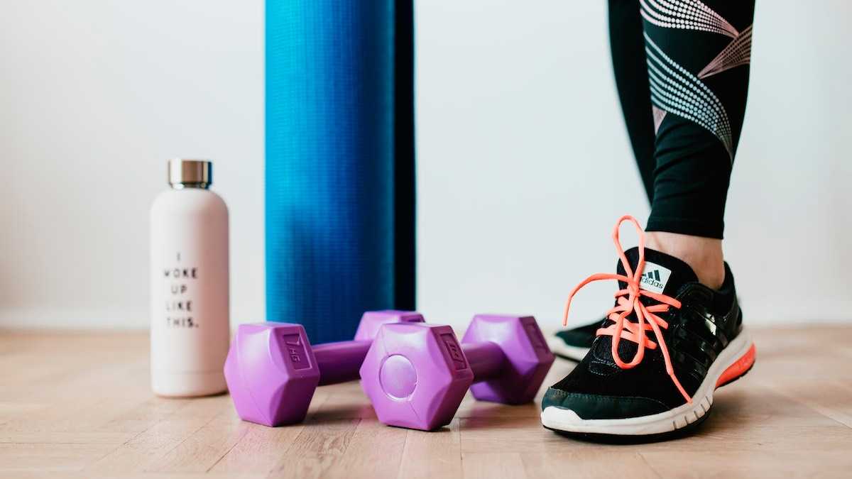 archivo infogate web-5-2-4