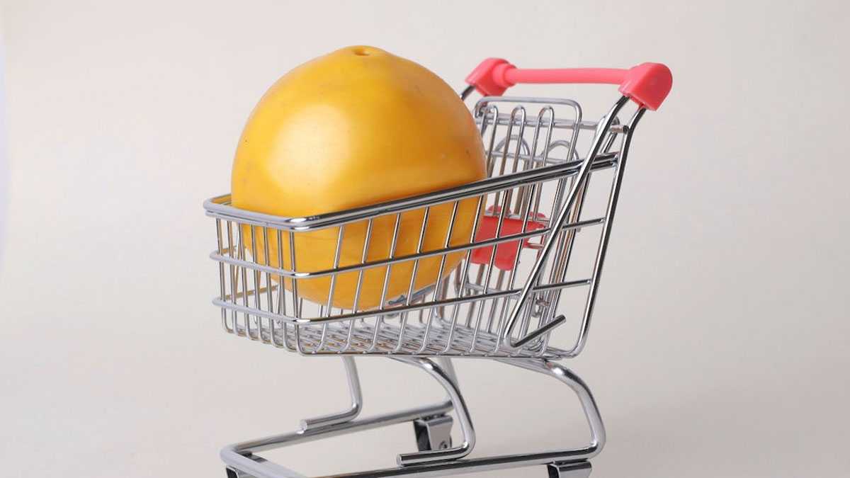 emprendimiento230301