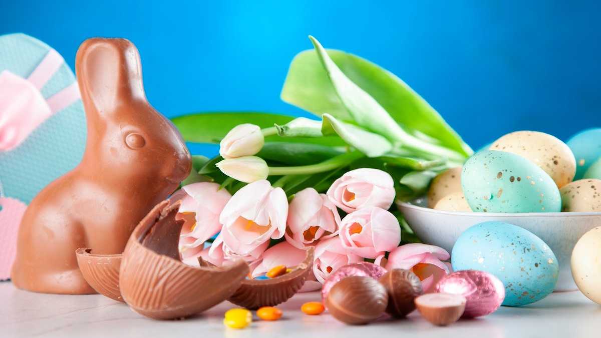 archivo infogate web-5-2-3