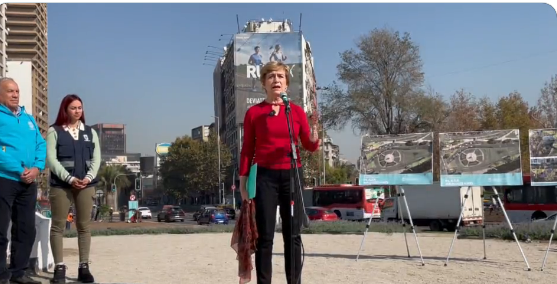 Evelyn Matthei en Twitter